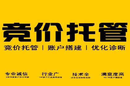 某电商平台的SEM服务全解析